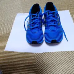 青 ストライプデザイン スニーカー　アディダス