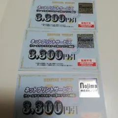 ノジマ 株主優待 ネットプリントサービス 割引券 3枚です。のサムネイル