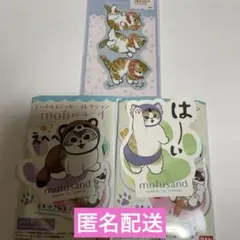 モフサンド　モバイルステッカー　コレクション　はーい　えへへ　エビにゃん