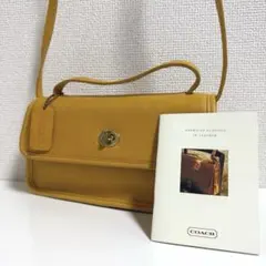 Item thumbnail for item b8a2df0c-d0ef-4d52-b678-ebd728b39a88