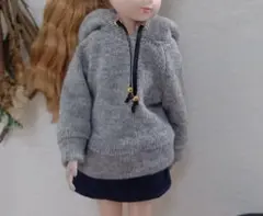 No.243　22㎝ドール ハンドメイド　パーカー