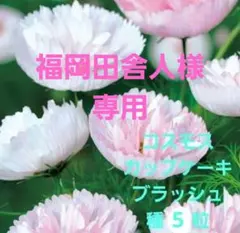 福岡田舎人様専用°・*:.。.☆