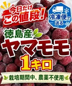 6月30日19時まで大特価★冷凍便（送料込）★徳島産ヤマモモ1キロのサムネイル