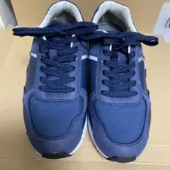 Item thumbnail for item deda3033-e518-46b1-a969-2f21ef41024e