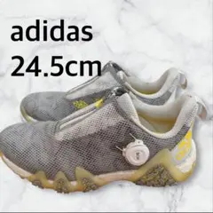 Item thumbnail for item 62f2365a-af86-4d3c-bc90-c2723fc5675a