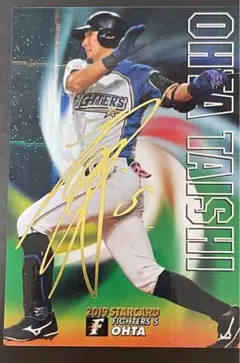 プロ野球チップス　STAR CARD  大田泰示