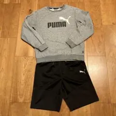 PUMA プーマ kids スウェット & ショーツ セット