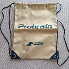 ばっさん様専用です！ スパイク・シューズケース ゴールド　グラブケース