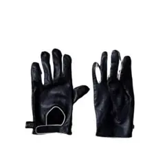 Item thumbnail for item baf71126-3aa7-4d85-aeed-ea5fbdbda406