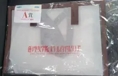 Item thumbnail for item 80d071c1-1824-4541-8399-39899a27098f