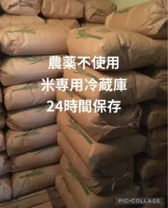 あきたこまち 2kg 農薬不使用 国産玄米 農家直送 単一品種 専用冷蔵庫のサムネイル