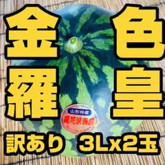 希少！尾花沢すいか 訳あり 金色羅皇 3L×2玉セット 甘い！ - メルカリ