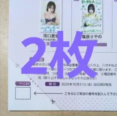 BUBKA ブブカ 11月号 直筆サイン入りチェキプレゼント 応募券 2枚