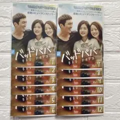 韓国ドラマ　バッドパパ DVD 全12巻セット