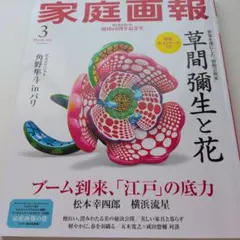 草間彌生 特集掲載雑誌 【家庭画報/2025年3月号/特製ポストカード付】