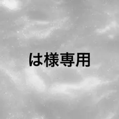 は様　専用ページ