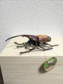 本日限定価格 ヘラクレスオオカブト 限定品 オーロラメッキ仕様