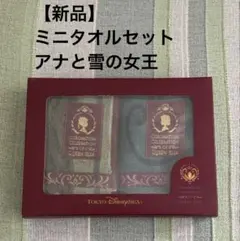 東京ディズニーシー ミニタオル2枚　アナと雪の女王　ファンタジースプリングス