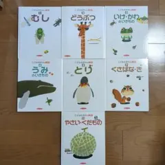 ひかりのくに こどものずかんmio まとめ売り 図鑑