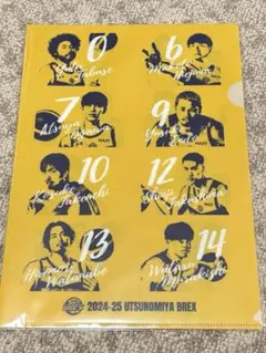 宇都宮ブレックス BREX クリアファイル