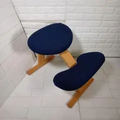 サカモトハウス バランスイージーチェア