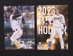 【2024年版】プロ野球チップスカード　阪神タイガース