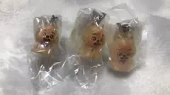 SKZOOめじるしアクセサリー HANQUOKKA ハンクォッカ 3個セット
