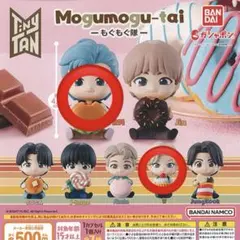 tinytan もぐもぐ隊 V RM まとめ売り