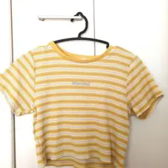 Honeys イエロー ストライプ クロップドTシャツ
