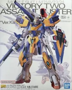 MG V2アサルトバスターガンダム Ver.Ka 全塗装完成品 光の翼セット