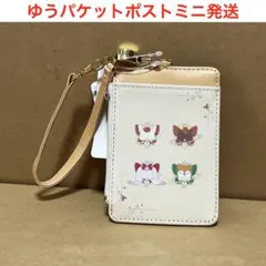 Yes！プリキュア5GoGo！　パスケースのサムネイル