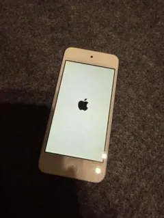 Apple iPod Touch 6th Generationブルー　ケース付き
