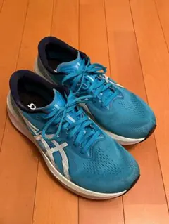 ASICS MAGIC SPEED 4 27.5cm