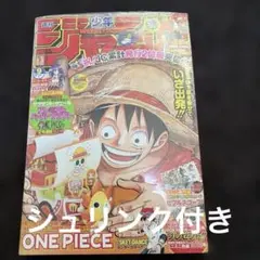 週刊少年ジャンプ 2023年6•7合併号 ワンピースカードゲーム P-033