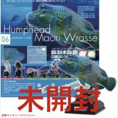 ネイチャーテクニカラー 鳥羽水族館 サンゴ礁の海 - メルカリ