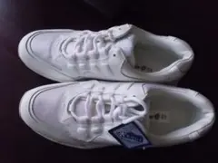 Item thumbnail for item 46650fe3-d7c7-43c0-9d31-067e9f437ebc