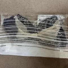 FANCL 谷間メイクブラ　A80 ネイビー