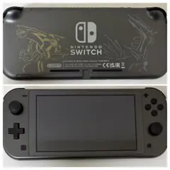 Nintendo Switch Lite ディアルガ・パルキア 充電器付