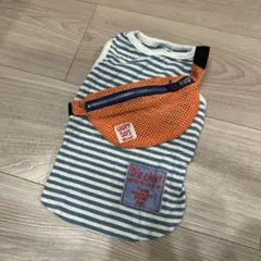 犬服 ドッグウェア　Mサイズ　ペットパラダイスなど