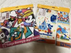 ディズニーMAKE YOUR FAVORITEタオルセットカラビナ付きケース封筒 ディズニーMAKE YOUR FAVORITEタオルセットカラビナ付きケース封筒