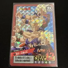 ドラゴンボールZ カードダス スーパーバトル No.133 孫悟空＆孫悟飯