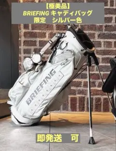 【極美品】BRIEFING GOLF CR-4 #04 メタリックキャディバッグ