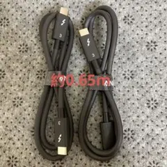 Thunderbolt 3 ケーブル 2本セット約0.65m