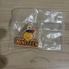 SEVENTEEN ミニティーン めじるしアクセサリー　スングァン ブギュリ②