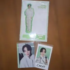 セブチ　ジョンハン SEVENTEEN follow アクスタ　トレカ