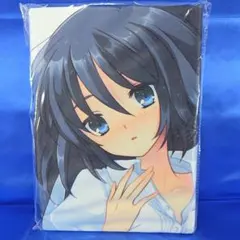 真剣で私に恋しなさい! 川神百代 抱き枕カバー - メルカリ