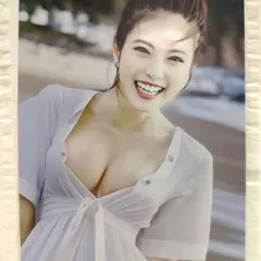 ブリキ看板 インテリア雑貨 　女優　モデル　タレント