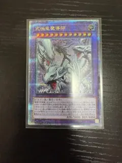 2026年最新】究極竜魔導師の人気アイテム - メルカリ
