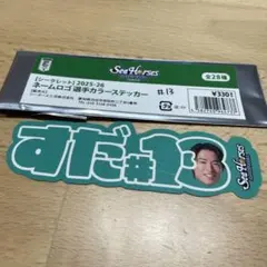 シーホース三河　須田侑太郎選手　ネームロゴ選手カラーステッカー