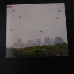 ポルノグラフィティ　音のない森　初回